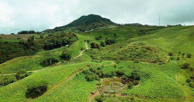 Google Image/Malino Highlands